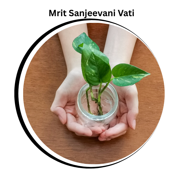 Mrit Sanjeevani Vati